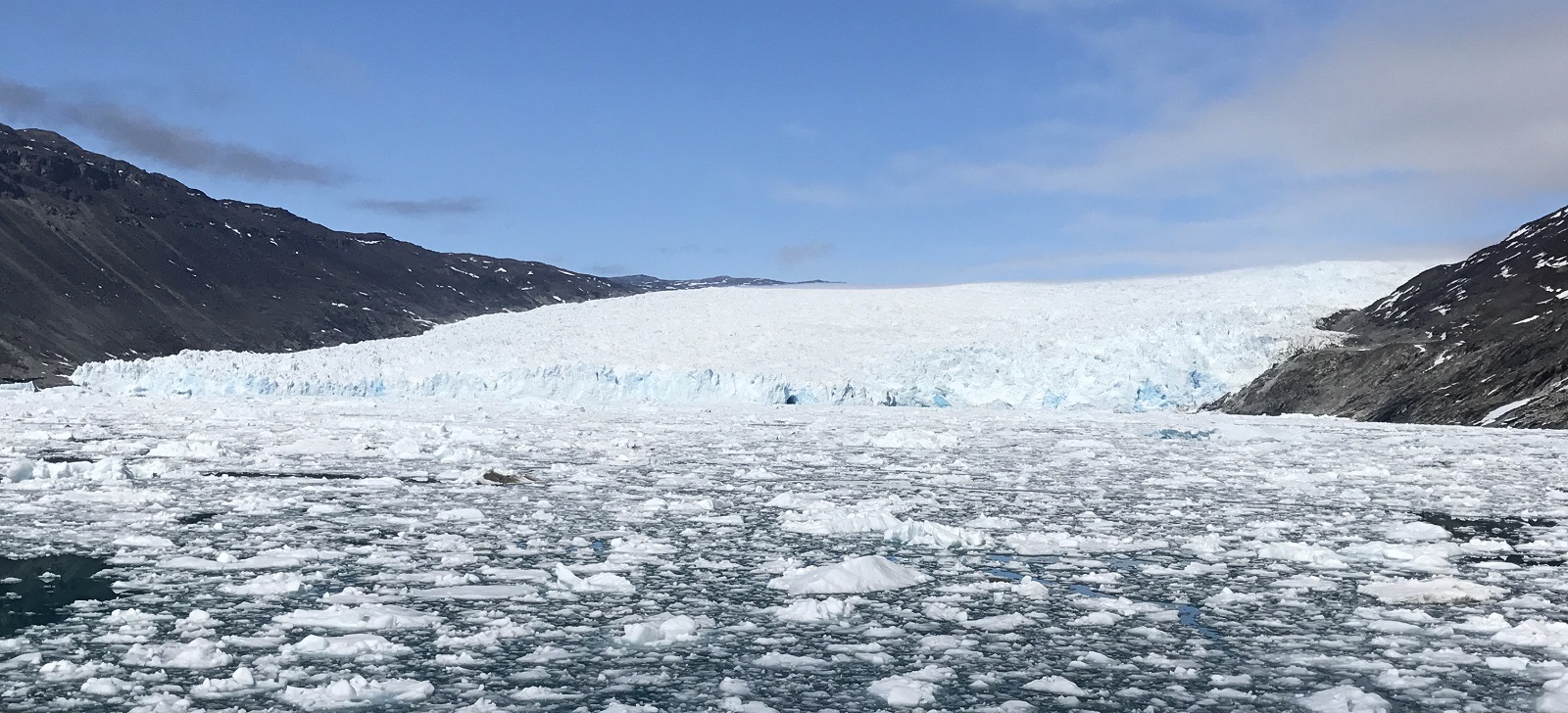 Entlang der Westküste Grönlands | CAPE RACE - Polar
