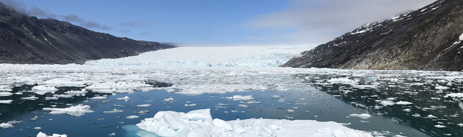 Die Eisberge der Diskobucht | CAPE RACE - Polar