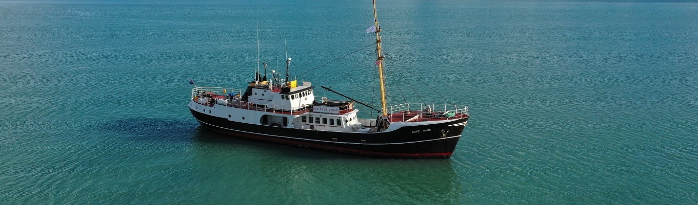 Unbekanntes Südgrönland - Expeditionsreise ab / bis Narsarsuaq | CAPE RACE - Polar