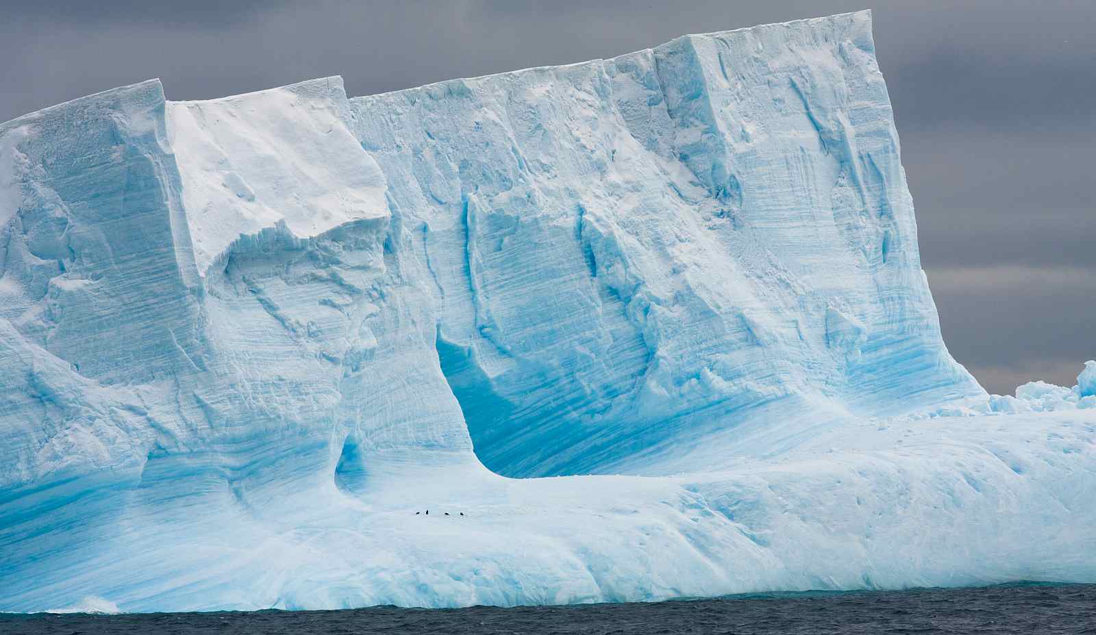 Große Antarktis-Expeditionskreuzfahrt mit Falklandinseln und Südgeorgien | OCEAN NOVA - Polar