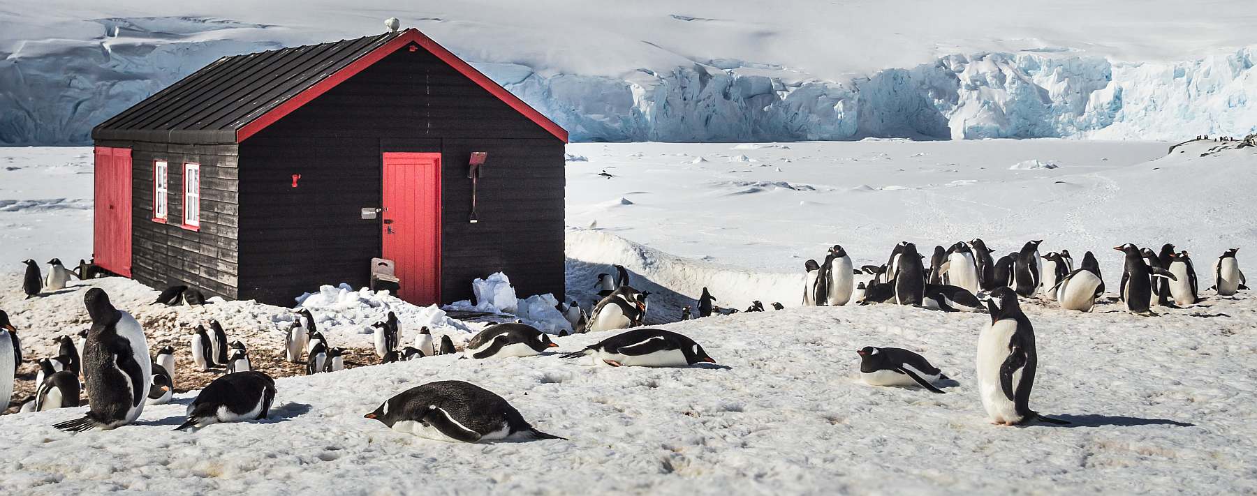 Klassische Antarktis Reise einschließlich Deception-Island | HONDIUS - Polar