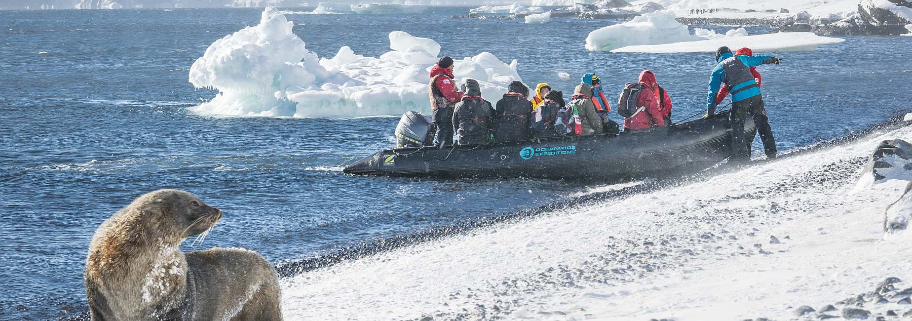 Klassische Antarktis Reise einschließlich Deception-Island | HONDIUS - Polar