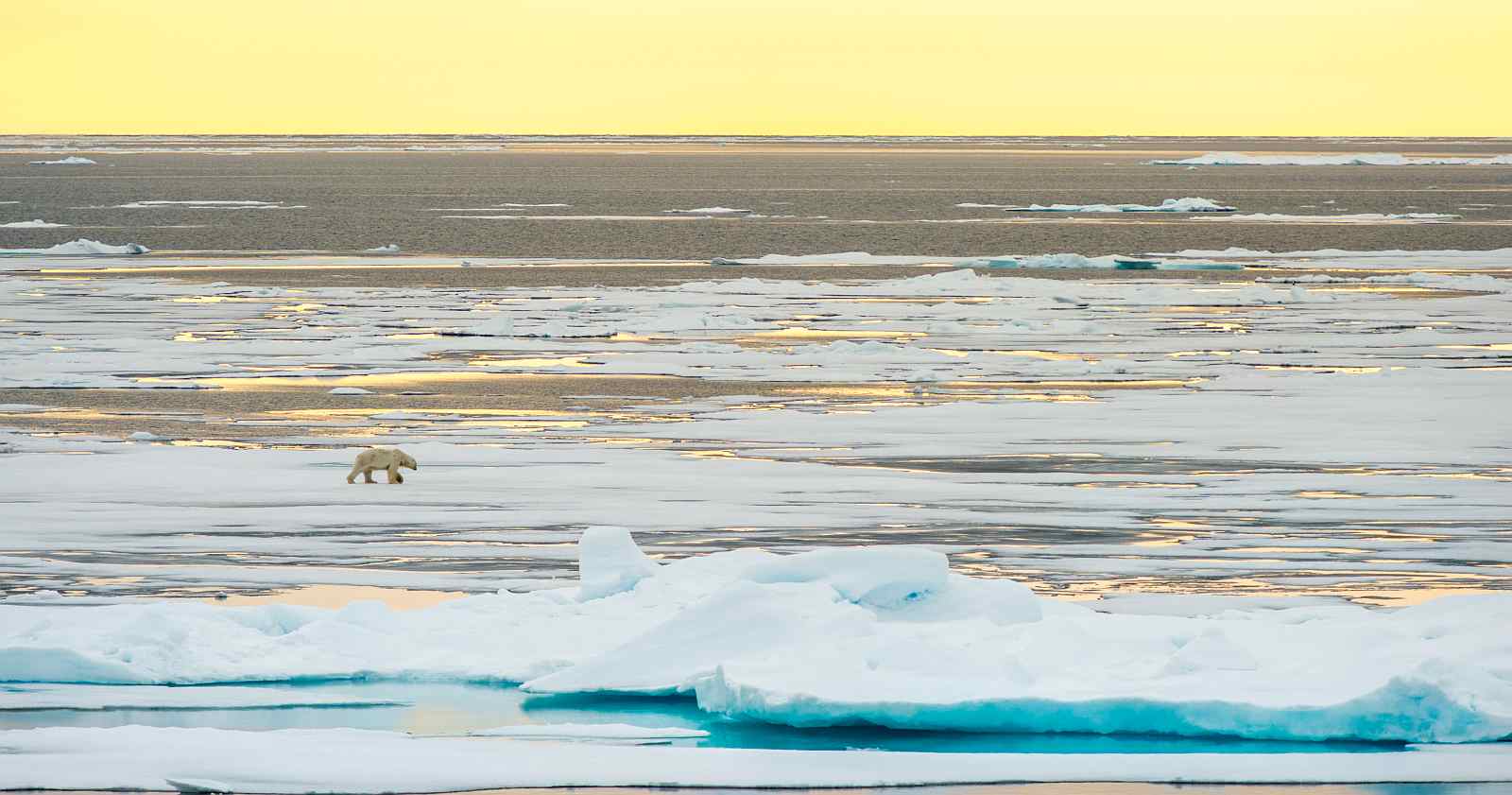 HONDIUS | Spitzbergen und Nordauslandet - Polar