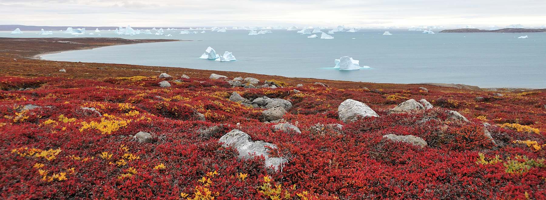 Expedition in den Scoresby Sund, inklusive langer Wanderungen | HONDIUS - Polar